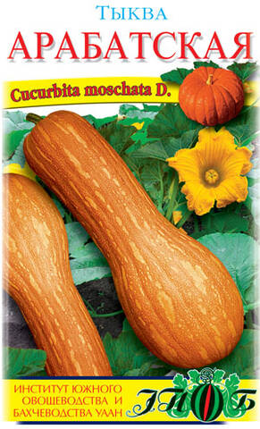 Семена тыквы Арабатская 20шт (Солнечный март) в интернет-магазине
