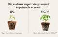 Біочар «IDEALE» для кімнатних рослин та розсади 1,5 л фото