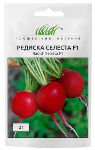 Насіння редису Селеста 3г (Професійне насіння) отзывы