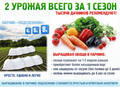 Парник Подснежник 6м в интернет-магазине