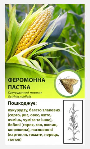 Феромонная ловушка от кукурузного стеблевого мотылька недорого