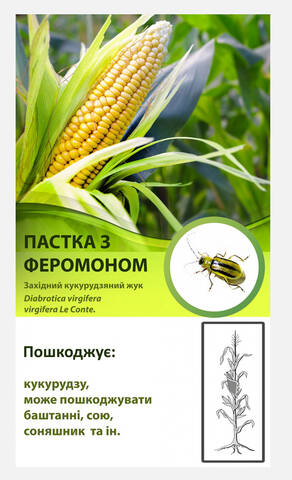 Феромонная ловушка от западного кукурузного жука цена