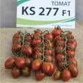 Томат KS277 (тигрова сливка) 8шт (Професійне насіння) недорого