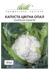 Семена капусты цветной Опал 20 шт (Профессиональные семена) купить