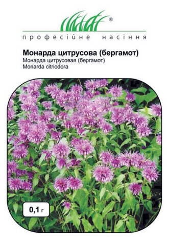 Семена Монарды Цитрусовой-Бергамота 0.1г (Профессиональные семена) описание