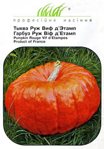 Насіння гарбуза Руж Віф де Етамп (Професійне насіння) фото