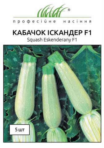 Насіння кабачка Іскандер F1 5 шт (Професійне насіння) дешево