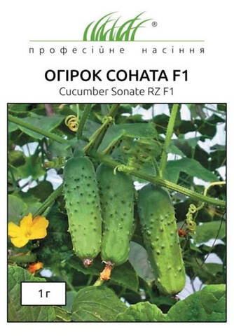 Насіння огірка Соната F1 20 шт (Професійне насіння) стоимость
