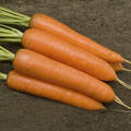 Насіння моркви Монанта 1 г (Професійне насіння) недорого