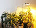 Лампа для растений Рефлакс (комплект) ПРА 100Вт в интернет-магазине