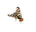 Феромонная ловушка для вишневой мухи фото