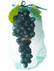 Мешочки для винограда от ос и птиц 5кг (28х40см) 50шт недорого