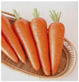 Насіння моркви Абако F1 0,5г (Професійне насіння) недорого