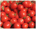 Насіння томату Солероссо F1 20шт (Професійне насіння) недорого