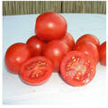 Насіння томату Солероссо F1 20шт (Професійне насіння) в интернет-магазине