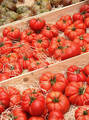 Семена томата Флорентино F1 100шт (Профессиональные семена) недорого
