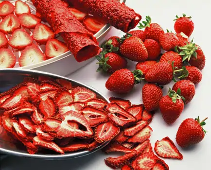 Сушилка Ezidri Snackmaker FD500 Digital - Купить в Украине