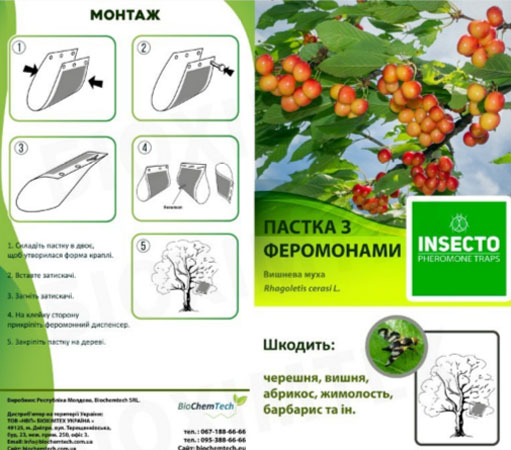Феромонная ловушка для вишневой мухи - Купить в Украине, Харькове ...