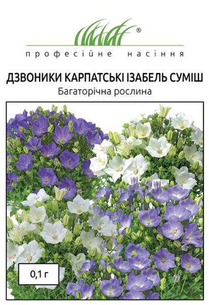 Колокольчик карпатский весенняя песня фото и описание Колокольчик карпатский весенняя песня фото и описание