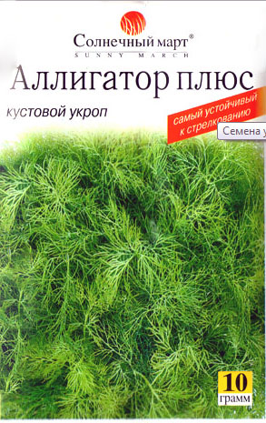 Укроп Аллигатор Характеристика Фото